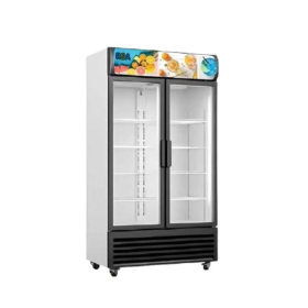 Ufoelektronika RSA Showcase 2 Pintu 600L OPAL